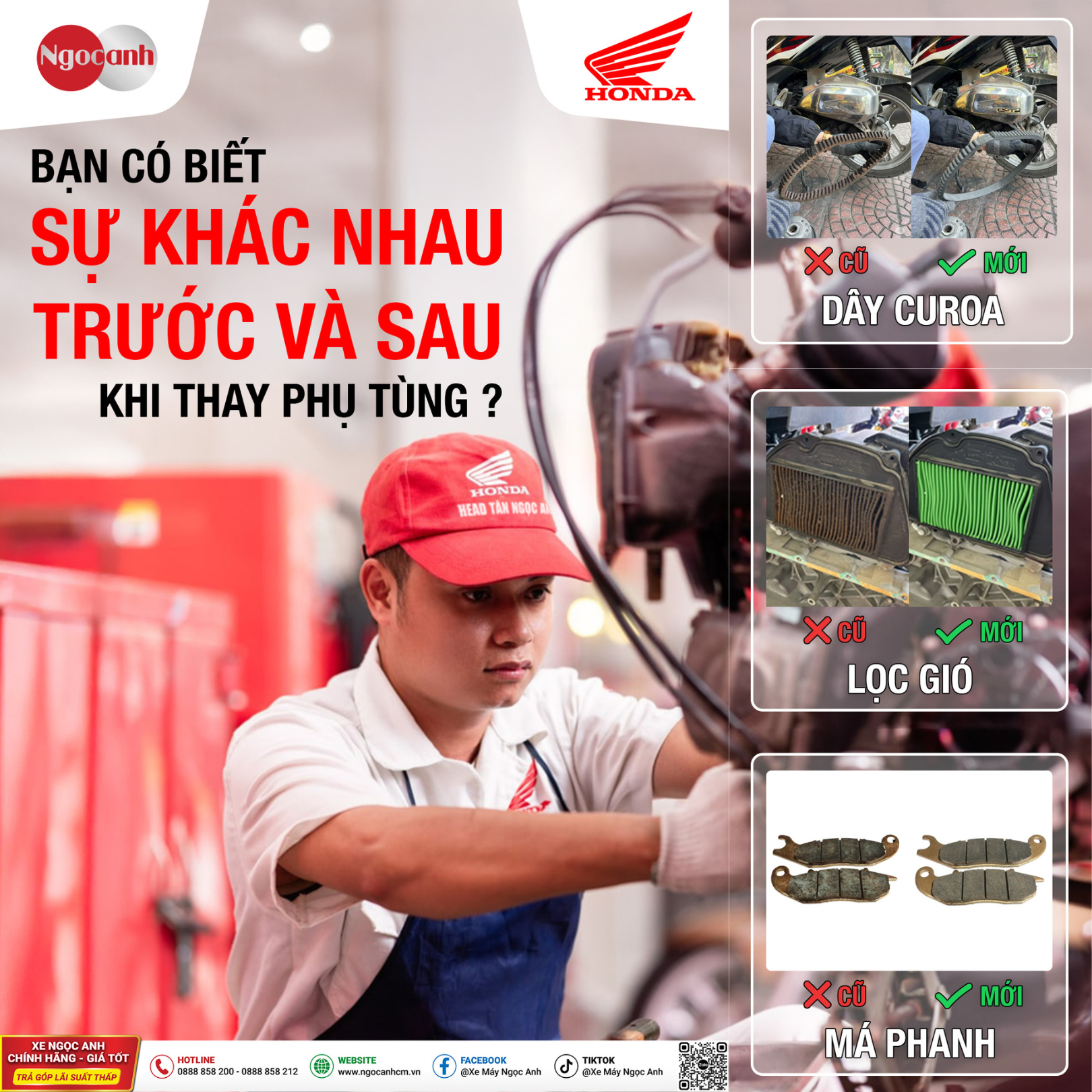 Bài Đăng Trang Web